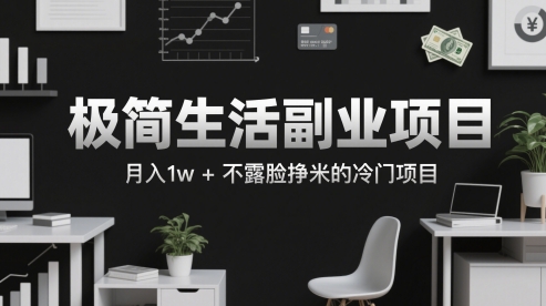 极简生活副业项目，月入1w+不露脸挣米的冷门项目-赚钱网