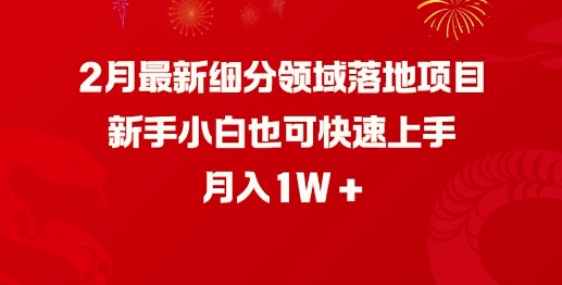 2月最新细分领域落地项目，新手小白也可快速上手，月入1W-赚钱网
