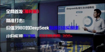 精准打击：价值3980的DeepSeek私域引流实操课，小白实操无门槛，日引精准粉300+-赚钱网
