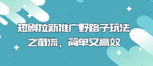 短剧拉新推广野路子玩法之截流，简单又高效-赚钱网