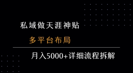 私域做天涯神贴 多平台布局 月入5k+详细流程拆解-赚钱网