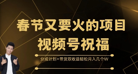 春节又要火的项目视频号祝福，分成计划+带货双收益，轻松月入几个W【揭秘】-赚钱网