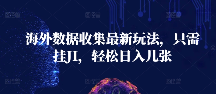 海外数据收集最新玩法，只需挂JI，轻松日入几张-赚钱网