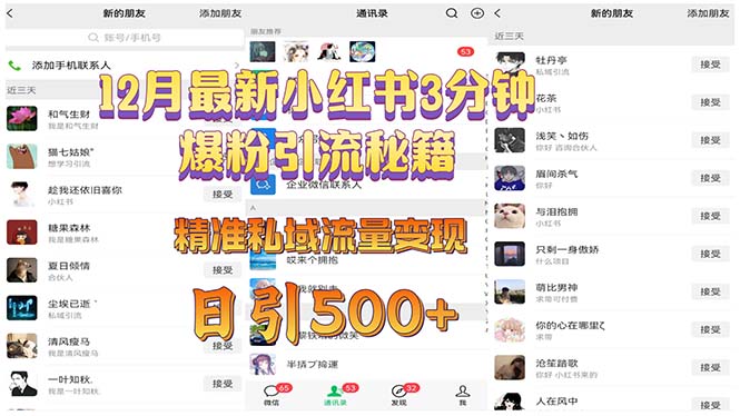 （13653期）12月最新小红书3分钟爆粉引流秘籍 精准私域流量变现 日引500+-赚钱网
