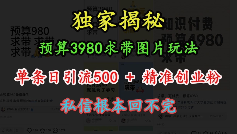 预算3980求带 图片玩法，单条日引流500+精准创业粉，私信根本回不完-赚钱网
