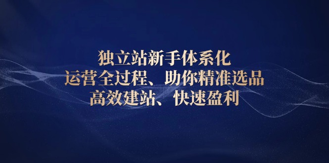 （13914期）独立站新手体系化 运营全过程，助你精准选品、高效建站、快速盈利-赚钱网