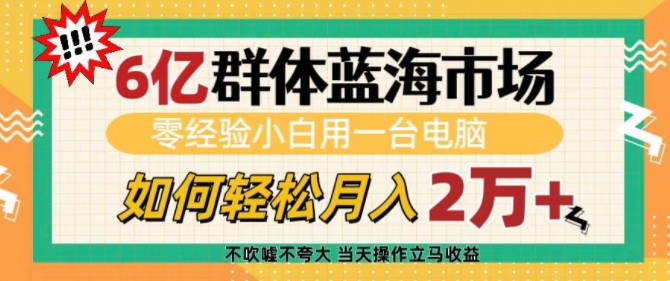6亿群体蓝海市场，零经验小白用一台电脑，如何轻松月入过w【揭秘】-赚钱网