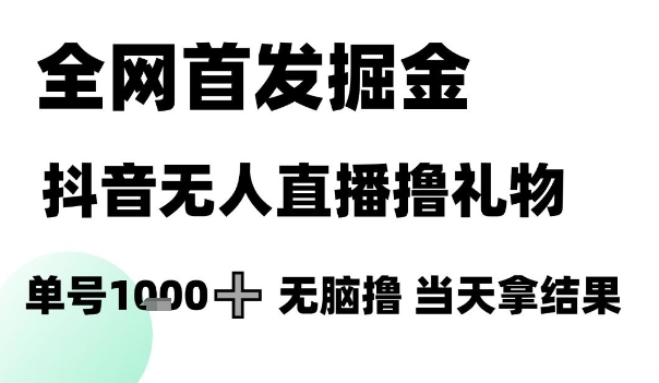 全网首发掘金抖音无人直播撸礼物，单号1k +无脑撸，当天拿结果【揭秘】-赚钱网