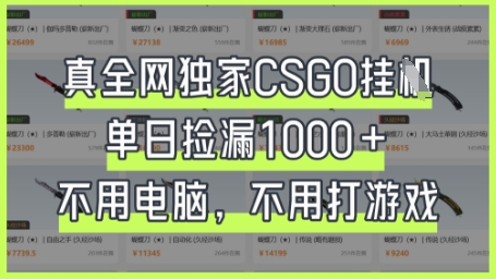 真全网独家CSGO挂G，单日捡漏1k+【揭秘】-赚钱网