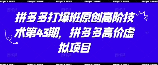 拼多多打爆班原创高阶技术第43期，拼多多高价虚拟项目-赚钱网