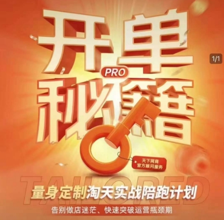 淘宝开单秘籍PRO，量身定制淘天实战陪跑计划，告别做店迷茫、快速突破运营瓶颈期-赚钱网