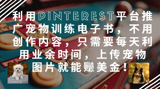 利用Pinterest平台推广宠物训练电子书，不用创作内容，只需要每天利用业余时间，上传宠物图片就能挣美金!-赚钱网