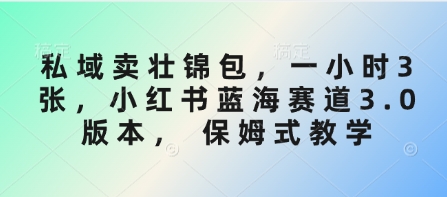 私域卖壮锦包，一小时3张，小红书蓝海赛道3.0版本， 保姆式教学-赚钱网
