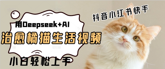 疯狂火爆，用Deepseek+AI做治愈橘猫系列视频，小白轻松制作+快速拿到结果-赚钱网