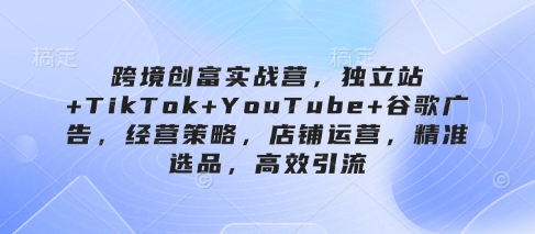 跨境创富实战营，独立站+TikTok+YouTube+谷歌广告，经营策略，店铺运营，精准选品，高效引流-赚钱网
