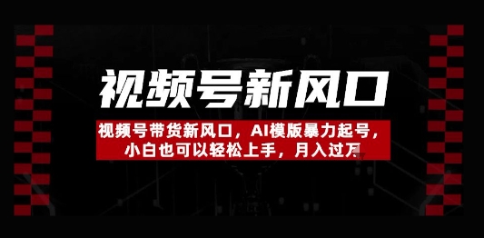视频号带货新风口，AI模版暴力起号，小白也可以轻松上手，月入过W-赚钱网