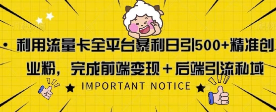 利用流量卡全平台暴利日引500+精准创业粉-赚钱网