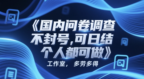 国内问卷调查，不封号，可日结，多劳多得，工作室，个人都可做-赚钱网
