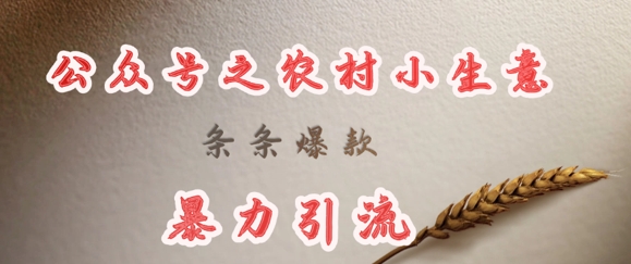 deepseek写农村小项目，条条爆款，暴力引流-赚钱网
