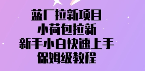 蓝厂拉新项目，小荷包拉新，新手小白快速上手，保姆级教程-赚钱网