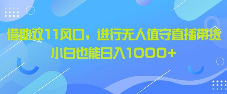 借助双11风口，进行无人值守直播带货，小白也能日入1k-赚钱网