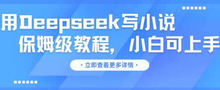 用Deepseek写小说，保姆级教程，小白可实操-赚钱网
