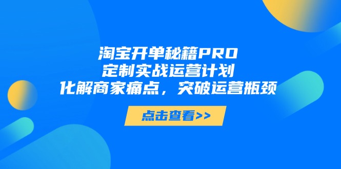 （14642期）淘宝开单秘籍PRO，定制实战运营计划，化解商家痛点，突破运营瓶颈-赚钱网
