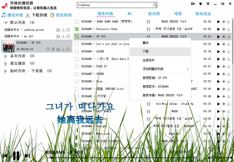 你妹的播放器全套源码功能齐全-赚钱网