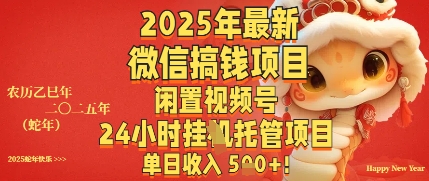 2025年最新微信搞钱项目，闲置视频号年24小时挂G托管项目，单日收入多张-赚钱网