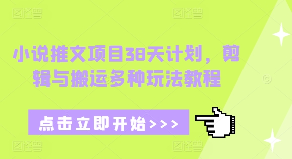 小说推文项目38天计划，剪辑与搬运多种玩法教程-赚钱网