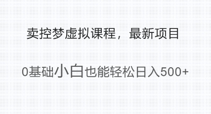 最新小众项目，利用人们猎奇的心理卖控梦虚拟课程，0基础小白也能轻松日入多张-赚钱网