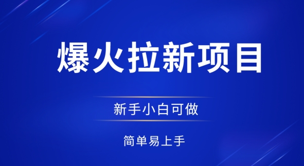 爆火拉新项目，有手就行，小白轻松入门，日入1张拉新整套流程-赚钱网