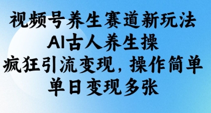 视频号养生赛道新玩法，AI古人养生操，疯狂引流变现，操作简单，单日变现多张-赚钱网