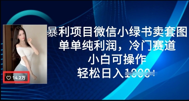 暴利项目微信小绿书卖套图，单单纯利润，冷门赛道， 小白可操作，轻松日入多张-赚钱网