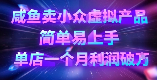 咸鱼卖小众虚拟产品，简单易上手，单店一个月利润破W-赚钱网