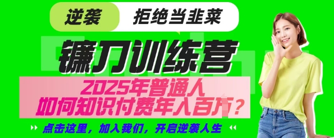 【网创项目终点站-镰刀训练营超级IP合伙人】25年普通人如何通过知识付费实现逆袭【揭秘】-赚钱网