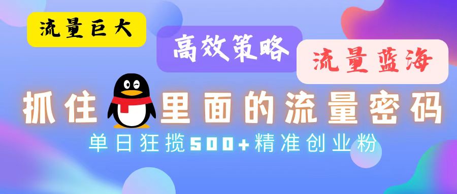 （13068期）流量蓝海，抓住QQ里面的流量密码！高效策略，单日狂揽500+精准创业粉-赚钱网