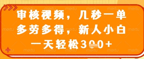 审核视频，几秒一单，多劳多得，新人小白一天轻松3张【揭秘】-赚钱网