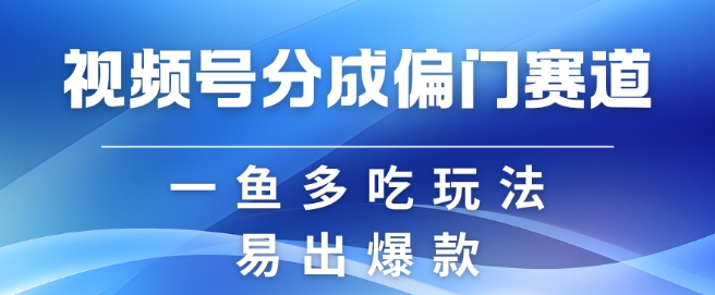 视频号创作者分成计划偏门类目，容易爆流，实拍内容简单易做【揭秘】-赚钱网