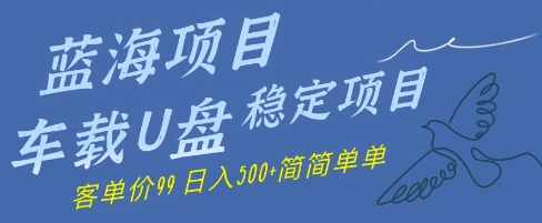 蓝海项目车载U盘稳定项目，挣的就是信息差，客单价99，日入几张简简单单-赚钱网