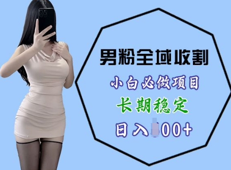 男粉项目全域收割，小白必做项目，长期稳定，稳定日入几张-赚钱网