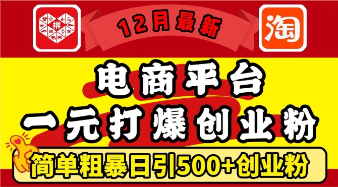 12月最新：电商平台1元打爆创业粉，简单粗暴日引500+精准创业粉，轻松月入过W【揭秘】-赚钱网