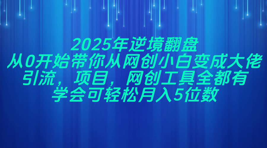 （14473期）2025年逆境翻盘，从0开始带你从网创小白变成大佬，引流，项目，网创工…-赚钱网