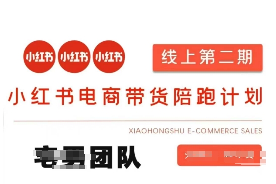 小红书电商带货课2期，月利润20个的小红书电商的有货源，无货源，虚拟产品，付费投流等整套玩法-赚钱网