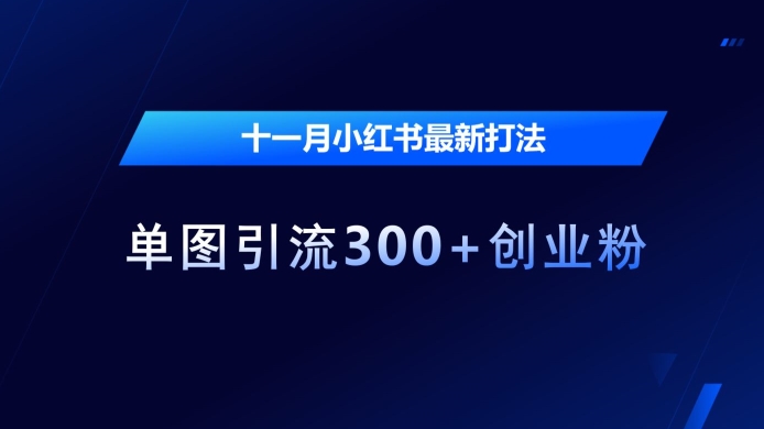 十一月小红书最新打法，单图引流300+创业粉【揭秘】-赚钱网