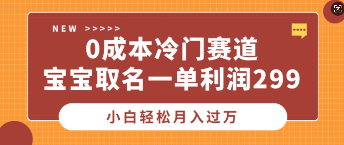 0成本冷门赛道，宝宝取名一单利润299，小白轻松月入过万-赚钱网