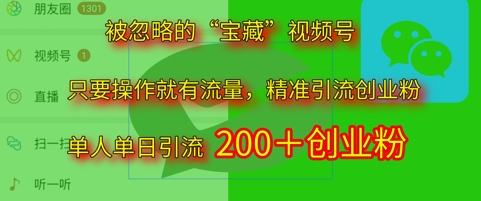 被忽略的“宝藏”视频号引流精准创业粉单人单日引流200+精准粉-赚钱网