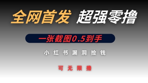 全网首发无限零撸捡钱项目，小红书一张截图0.5元可无限零撸-赚钱网