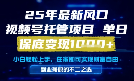 25年最新风口，视频号托管项目，单日保底变现1k+，手把手教学【揭秘】-赚钱网