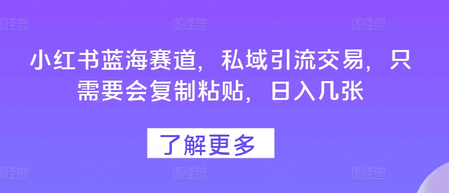 小红书蓝海赛道，私域引流交易，只需要会复制粘贴，日入几张-赚钱网